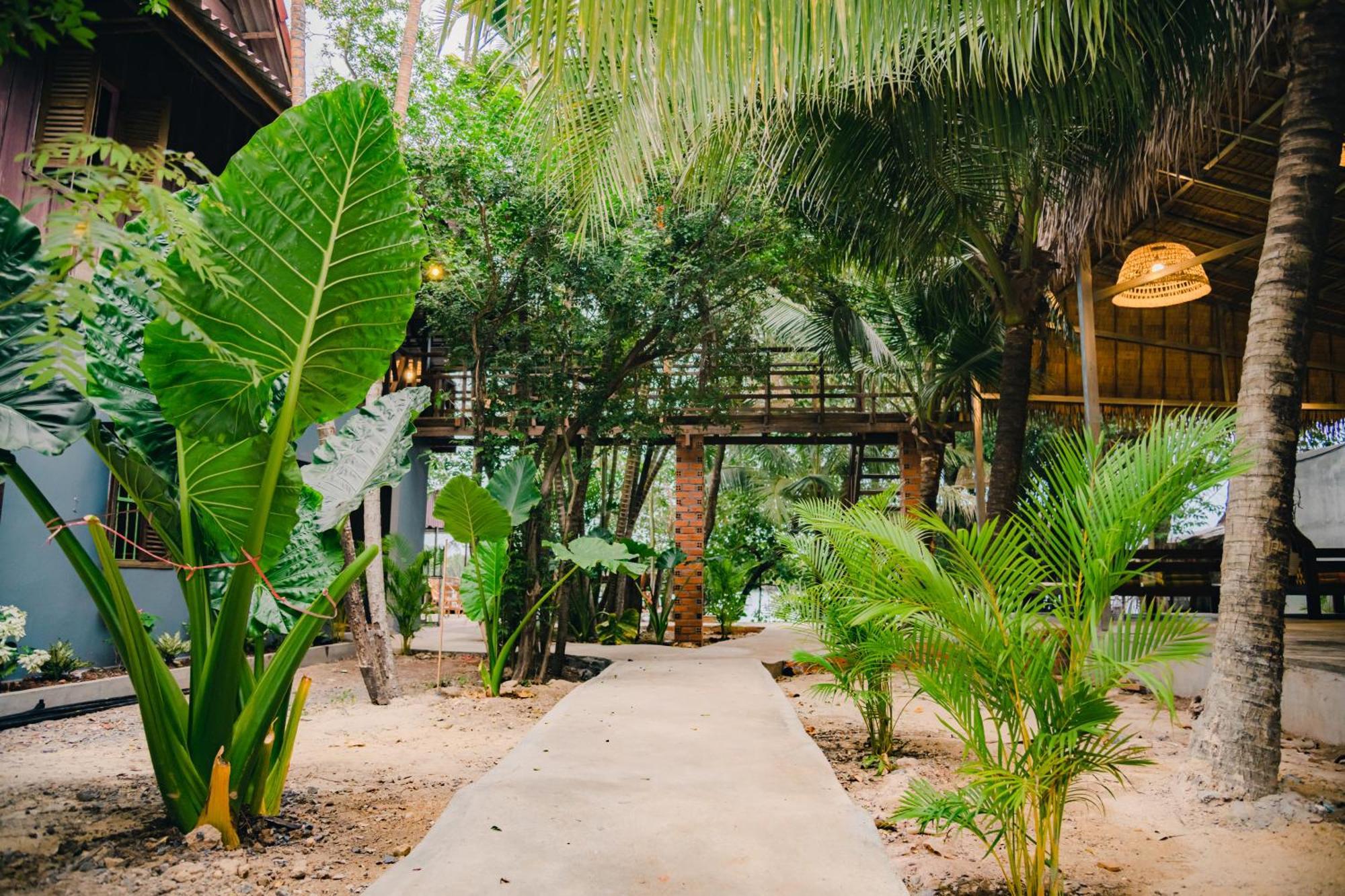 Banyan Tree Hostel Kampot Eksteriør billede