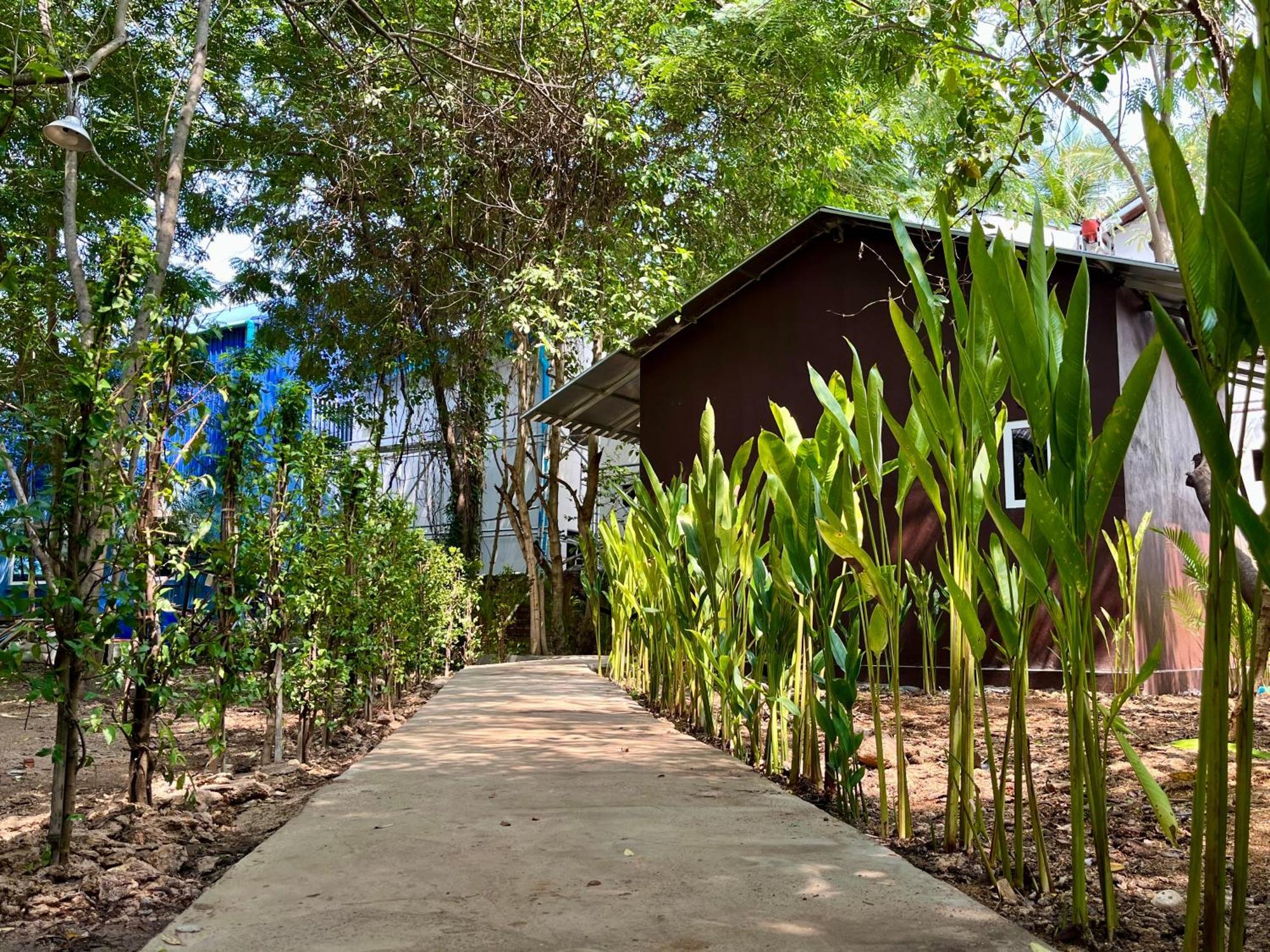 Banyan Tree Hostel Kampot Eksteriør billede