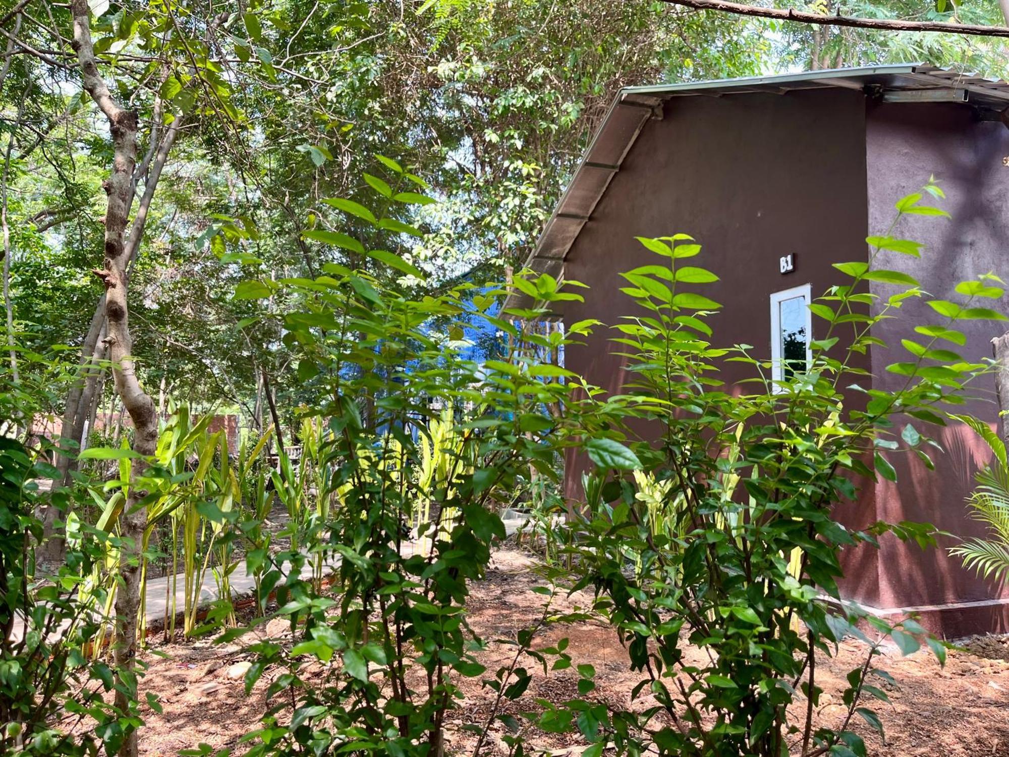 Banyan Tree Hostel Kampot Eksteriør billede