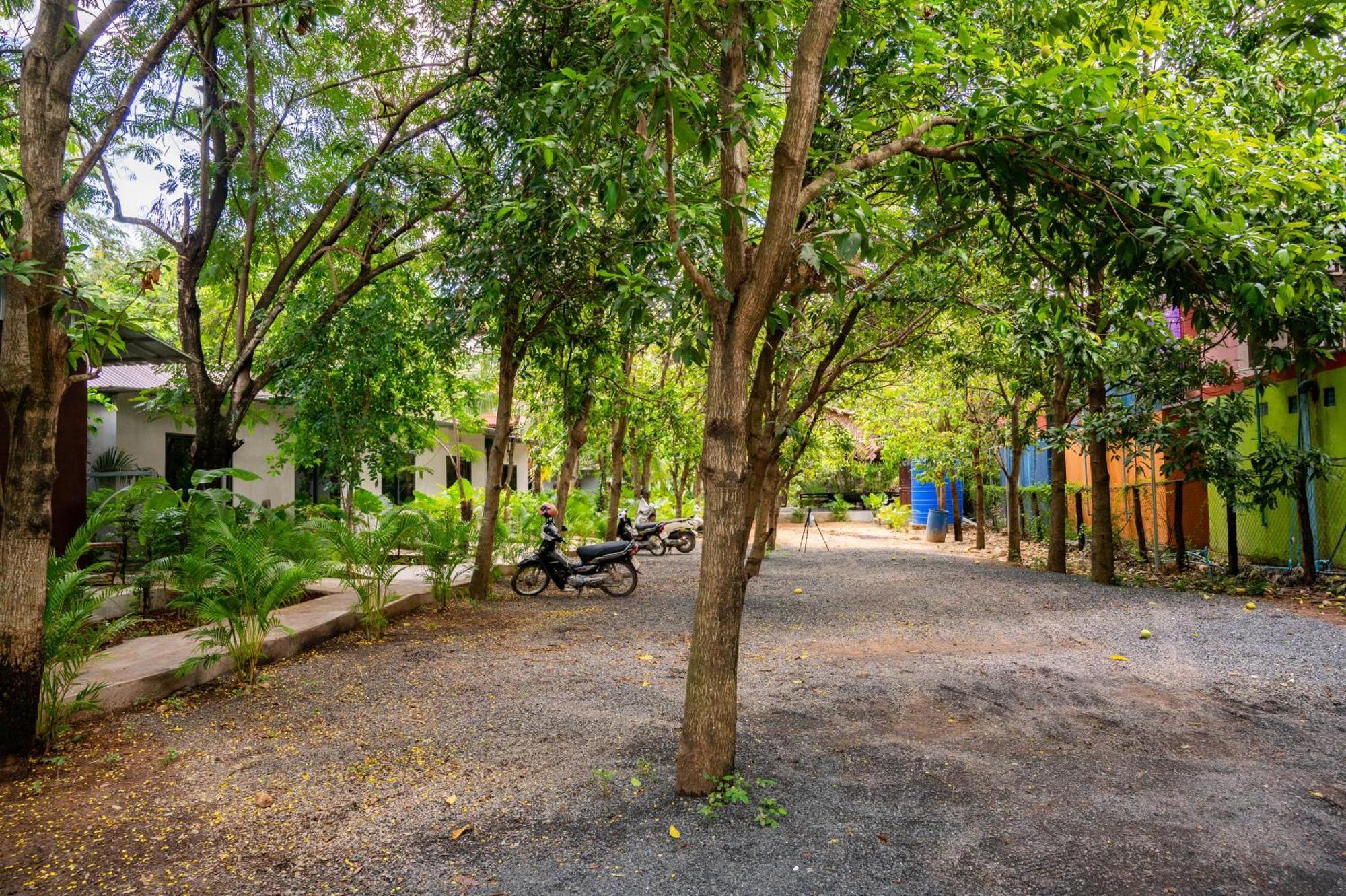 Banyan Tree Hostel Kampot Eksteriør billede